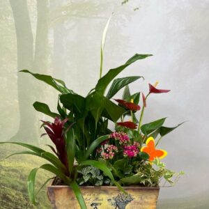 Jardín de Plantas en Jardinera Vintage